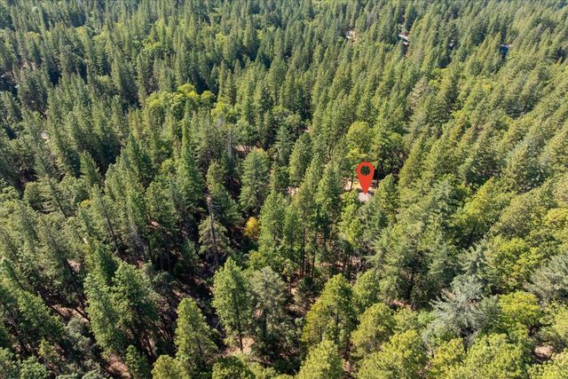 3553 Lupine Ln, Placerville, CA 95667