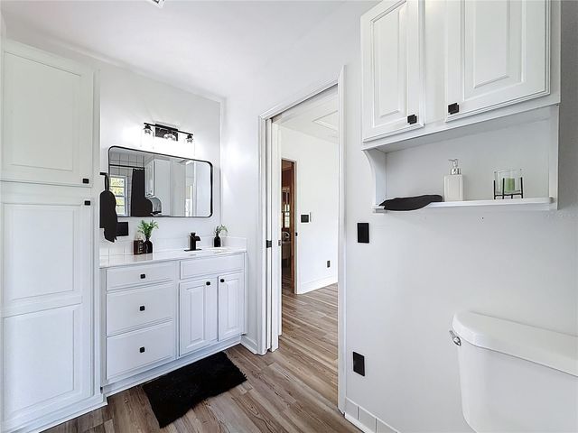 14090 162ND PLACE, Weirsdale, FL 32195