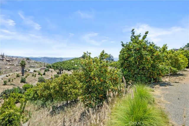 1252 Rancho Luiseno, Escondido, CA 92026