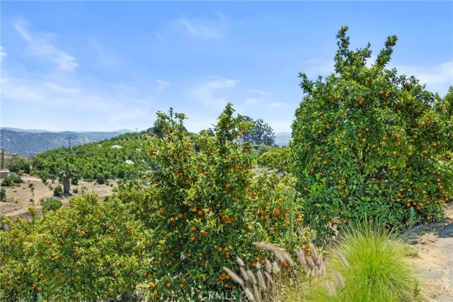 1252 Rancho Luiseno, Escondido, CA 92026