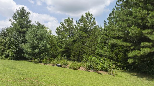 1372 Short Mountain Rd, Mcminnville, TN 37110