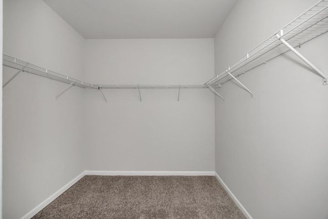 3426 Windmill Palm Drive, Manvel, TX 77578