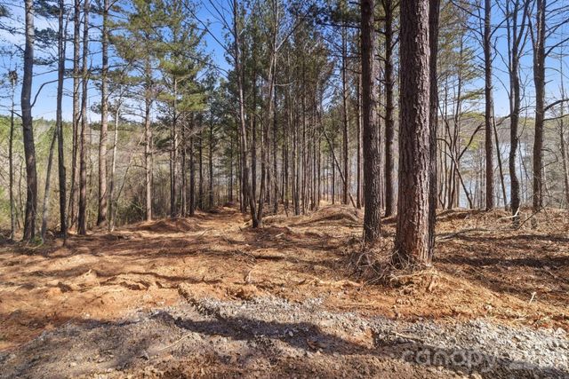 199 Table Rock Trace NW 130, Valdese, NC 28690