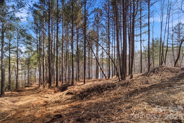 199 Table Rock Trace NW 130, Valdese, NC 28690