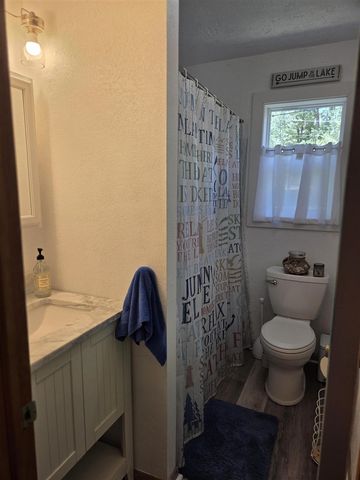 9638 W School Section Lake Drive, Mecosta, MI 49332