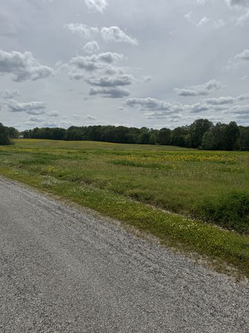 0 Taylor Cemetery Rd, Buena Vista, TN 38318