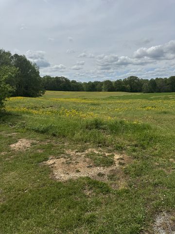 0 Taylor Cemetery Rd, Buena Vista, TN 38318