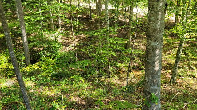 314 Burns Hollow Rd, Waynesboro, TN 38485