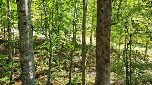 314 Burns Hollow Rd, Waynesboro, TN 38485