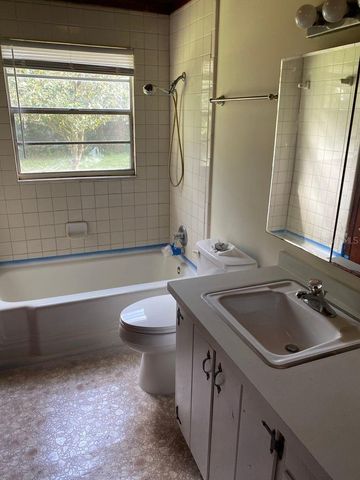 890 VINCENT DRIVE, Mount Dora, FL 32757