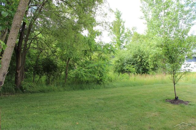 Lot 86 Edgebrook Drive, Thomas Twp, MI 48609
