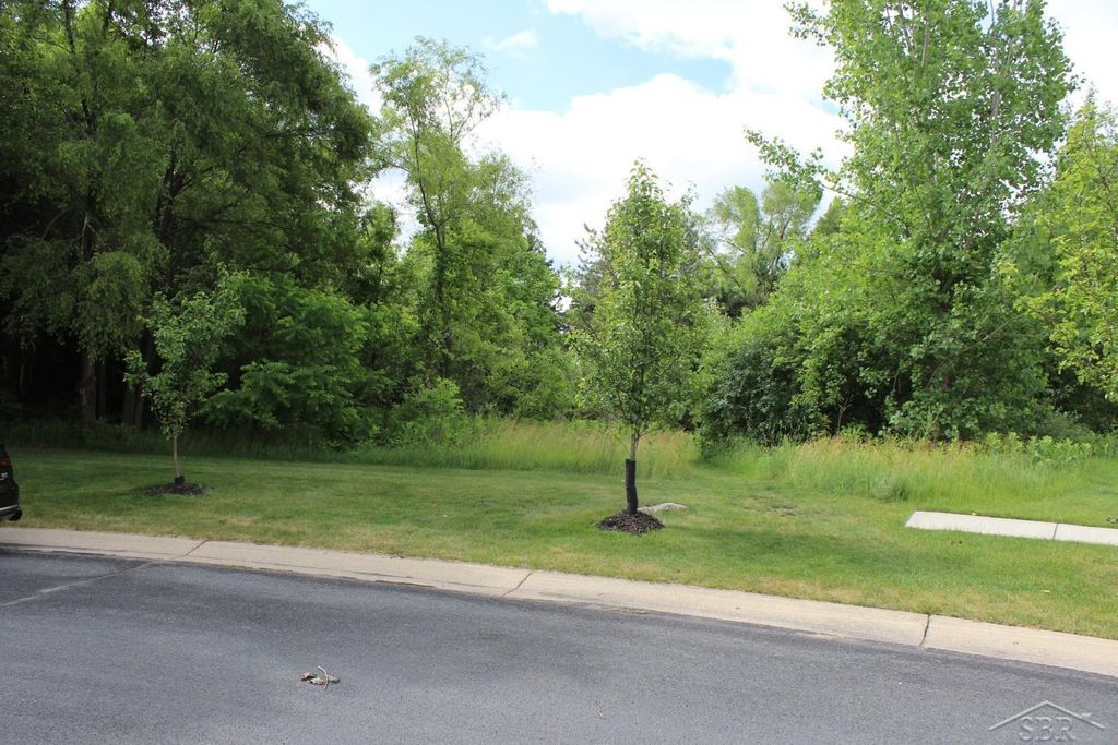 Lot 86 Edgebrook Drive, Thomas Twp, MI 48609