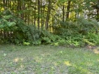 N/A Huron Woods Drive, Tawas City, MI 48763