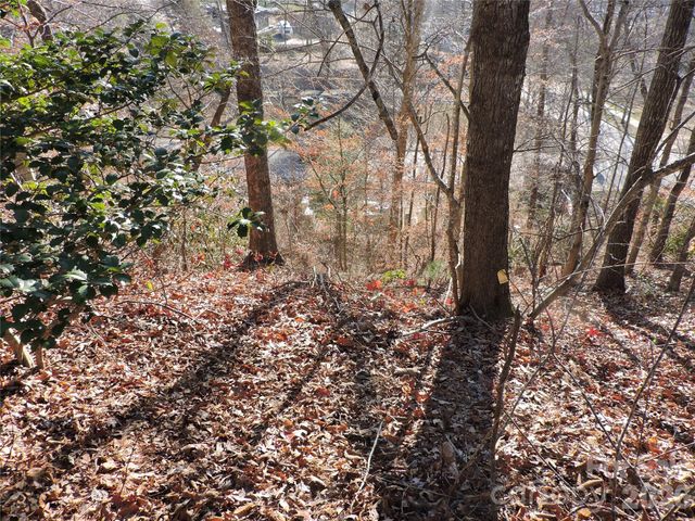 10 Whitman Lane 41, Black Mountain, NC 28711