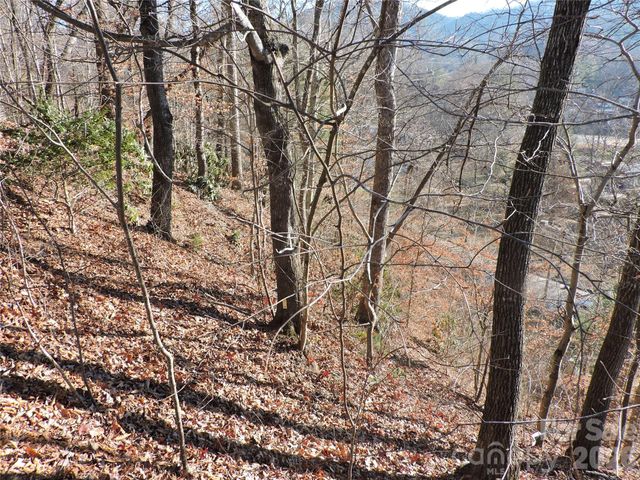 10 Whitman Lane 41, Black Mountain, NC 28711