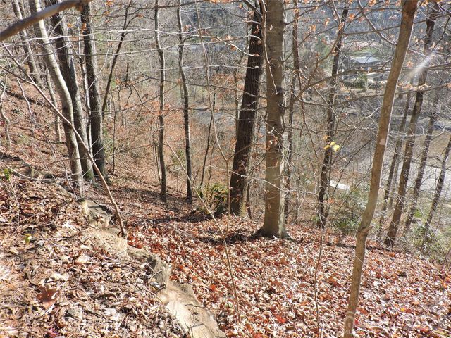 10 Whitman Lane 41, Black Mountain, NC 28711