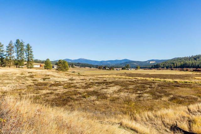 13XXX Peone Rd, Mead, WA 99021