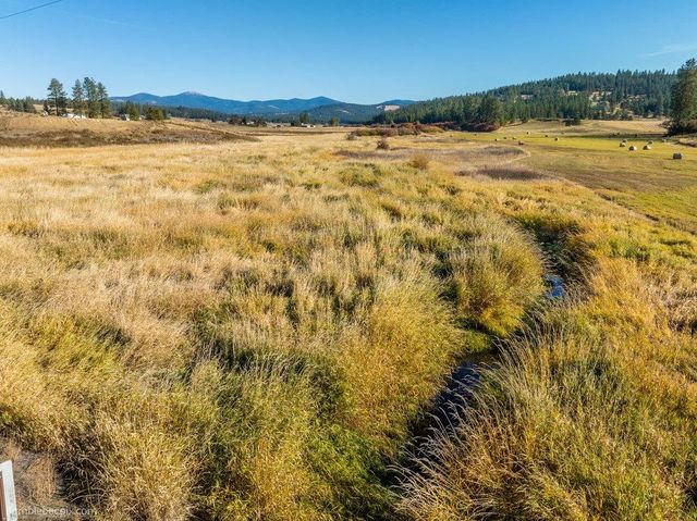 13XXX Peone Rd, Mead, WA 99021