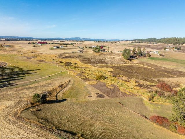 13XXX Peone Rd, Mead, WA 99021
