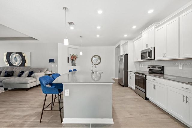 5325 BASALT DRIVE, Mount Dora, FL 32757