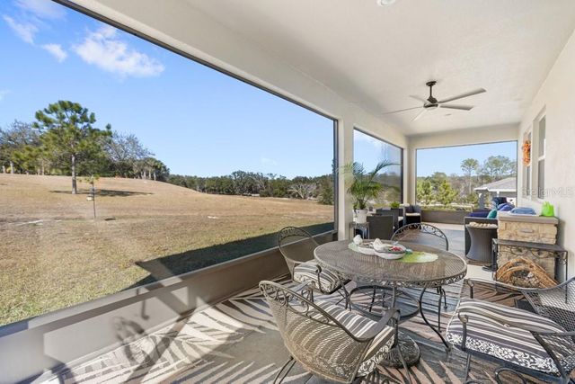 5325 BASALT DRIVE, Mount Dora, FL 32757