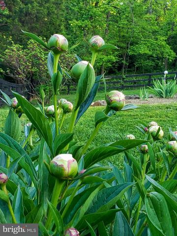 5556 MERRY OAKS RD, The Plains, VA 20198