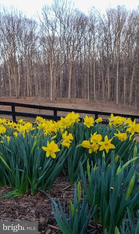 5556 MERRY OAKS RD, The Plains, VA 20198