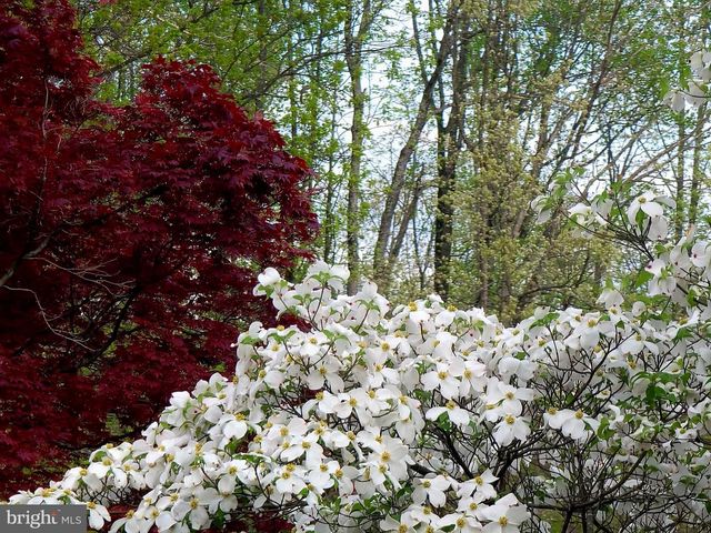 5556 MERRY OAKS RD, The Plains, VA 20198