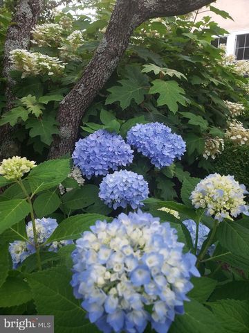 5556 MERRY OAKS RD, The Plains, VA 20198