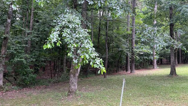 3219 Peeler Bend Road, Benton, AR 72019