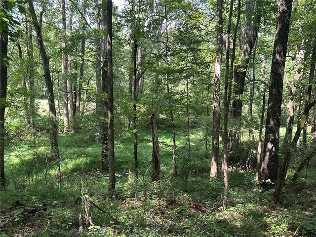 0 Attaway Road-9.22, Bowdon, GA 30108