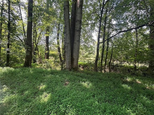0 Attaway Road-9.22, Bowdon, GA 30108
