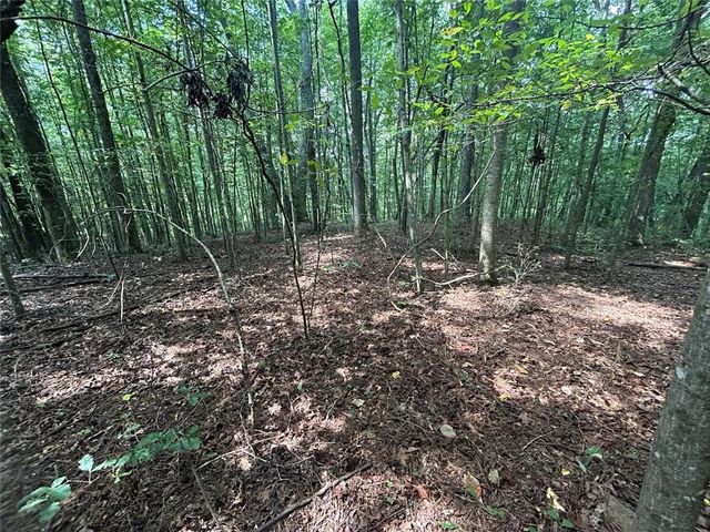 0 Attaway Road-9.22, Bowdon, GA 30108