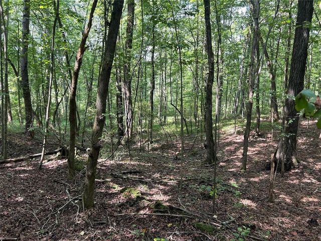 0 Attaway Road-9.22, Bowdon, GA 30108