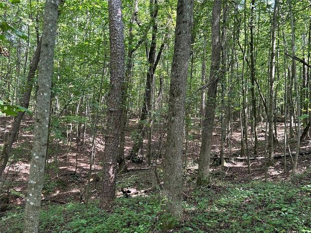 0 Attaway Road-9.22, Bowdon, GA 30108