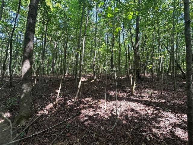 0 Attaway Road-9.22, Bowdon, GA 30108