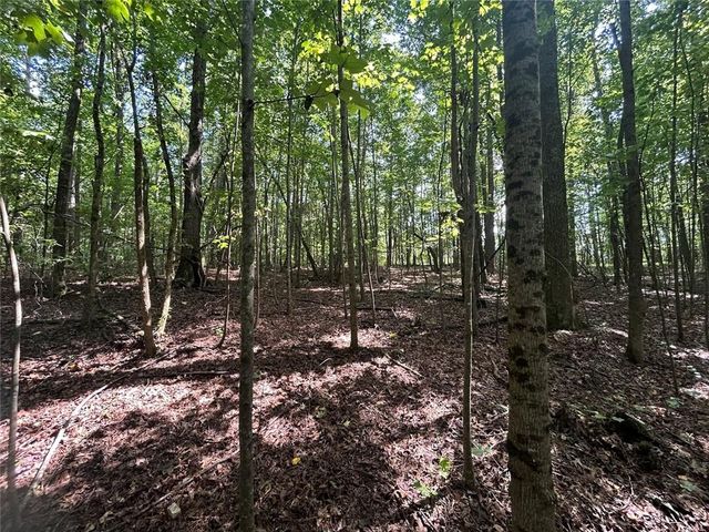 0 Attaway Road-9.22, Bowdon, GA 30108