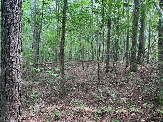 0 Attaway Road-9.22, Bowdon, GA 30108