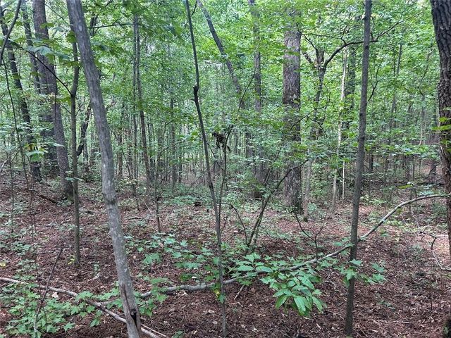 0 Attaway Road-9.22, Bowdon, GA 30108