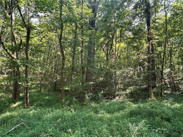 0 Attaway Road-9.22, Bowdon, GA 30108