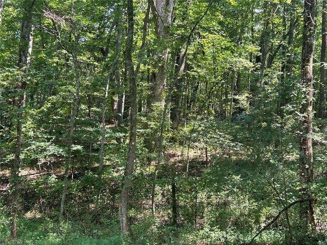 0 Attaway Road-9.22, Bowdon, GA 30108