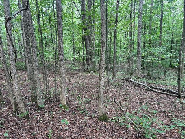 0 Attaway Road-9.22, Bowdon, GA 30108