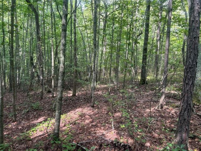 0 Attaway Road-9.22, Bowdon, GA 30108