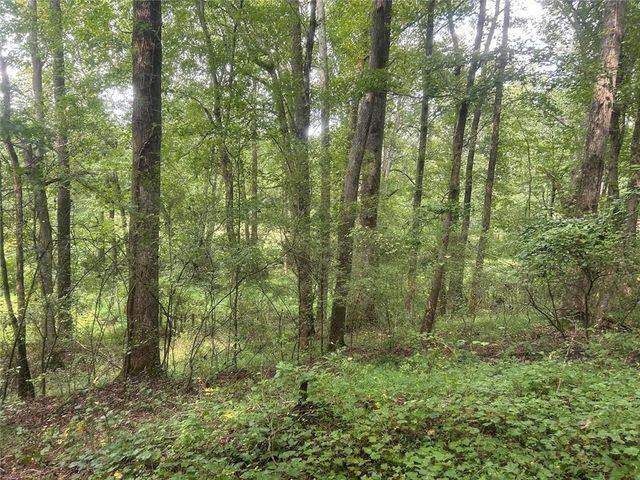 0 Attaway Road-9.22, Bowdon, GA 30108