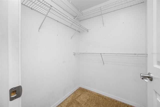 13030 DELWOOD ROAD, Tampa, FL 33624