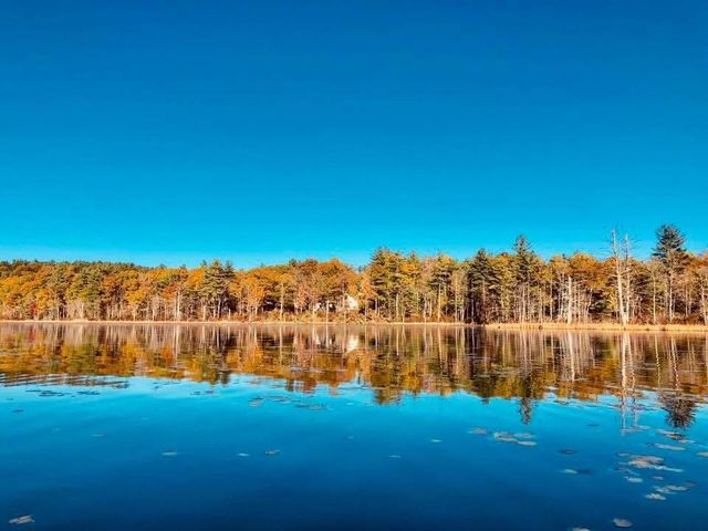 30 Mill Stone Terrace, Bedford, NH 03110