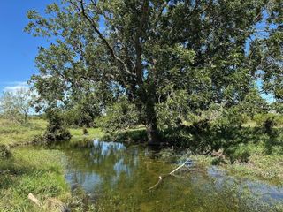 unk CR 330, Bertram, TX 78605