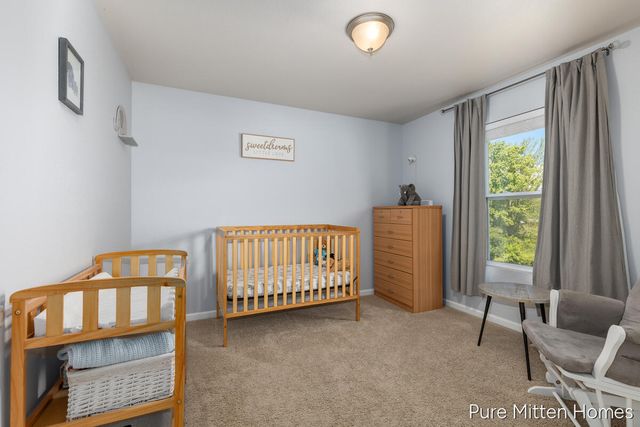 301 Wagonwheel Court, Cedar Springs, MI 49319