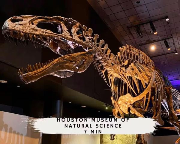 3311 Daphne Street, Houston, TX 77021