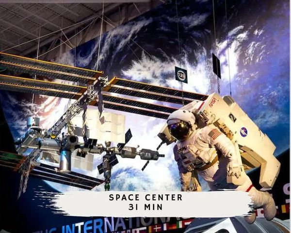 3311 Daphne Street, Houston, TX 77021